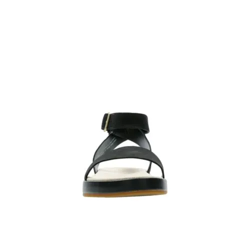 Clark Botanic Ivy 5 Clark Botanic Ivy - Image 3