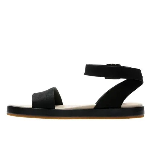 Clark Botanic Ivy 6 Clark Botanic Ivy - Image 4