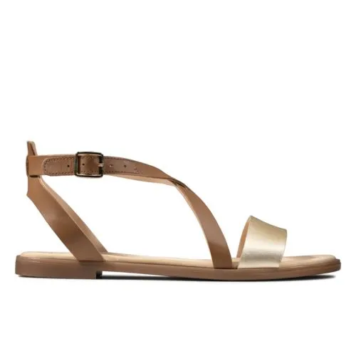 Clark Bay Rosie 3 Clark Bay Rosie