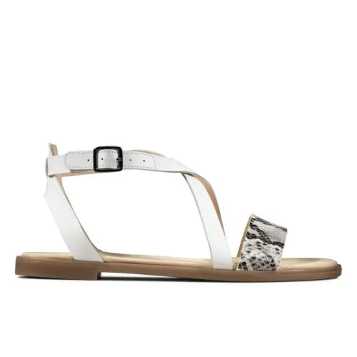 Clark Bay Rosie 3 Clark Bay Rosie