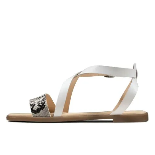 Clark Bay Rosie 6 Clark Bay Rosie - Image 4