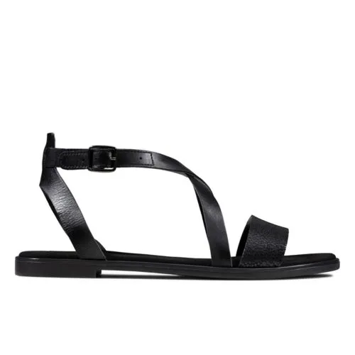 Clark Bay Rosie 3 Clark Bay Rosie