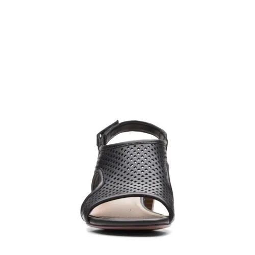 Clark Caroleigh Star 5 Clark Caroleigh Star - Image 3